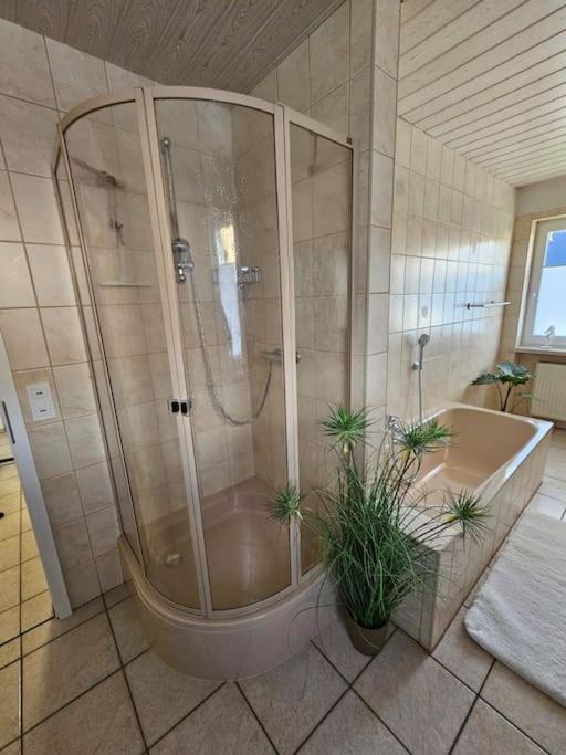 Ferienhaus Distelfink Entspannen In Der Mitte Von Deutschland Gudensberg Εξωτερικό φωτογραφία